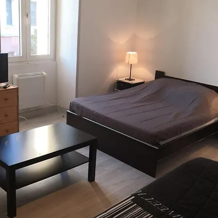 Appartement Renove Avec Wifi Et Animaux Admis A - Fr-1-541-129 La Roche-Posay