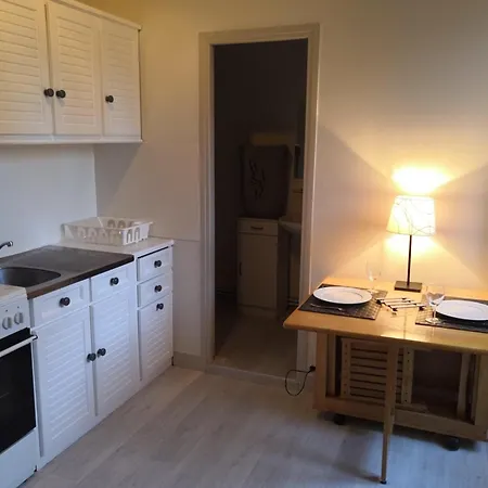 Renove Avec Wifi Et Animaux Admis A - Fr-1-541-129 Appartement La Roche-Posay