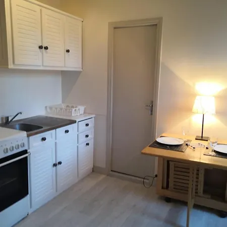 Appartement Renove Avec Wifi Et Animaux Admis A - Fr-1-541-129
