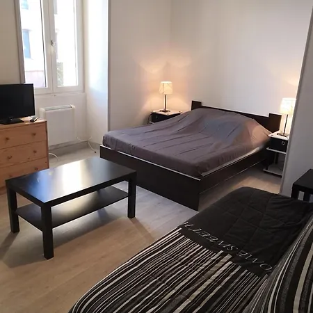 Renove Avec Wifi Et Animaux Admis A - Fr-1-541-129 Appartement *